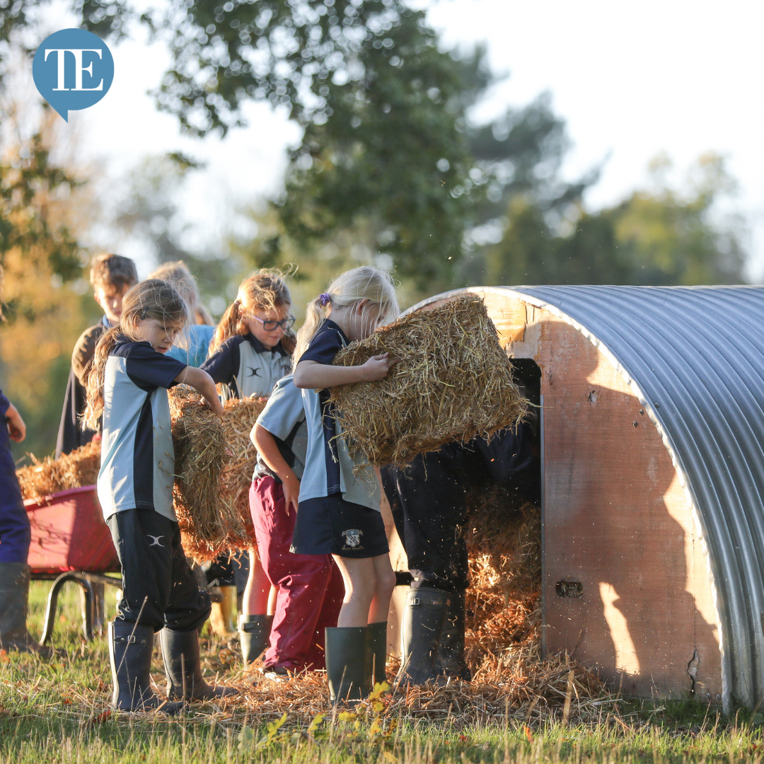 View from the Top: William Trelawny-Vernon on why you should never work with children and animals